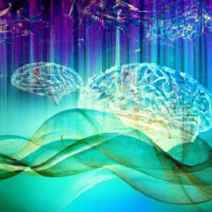 Unlocking Potential: Transfer Learning in Neural Networks