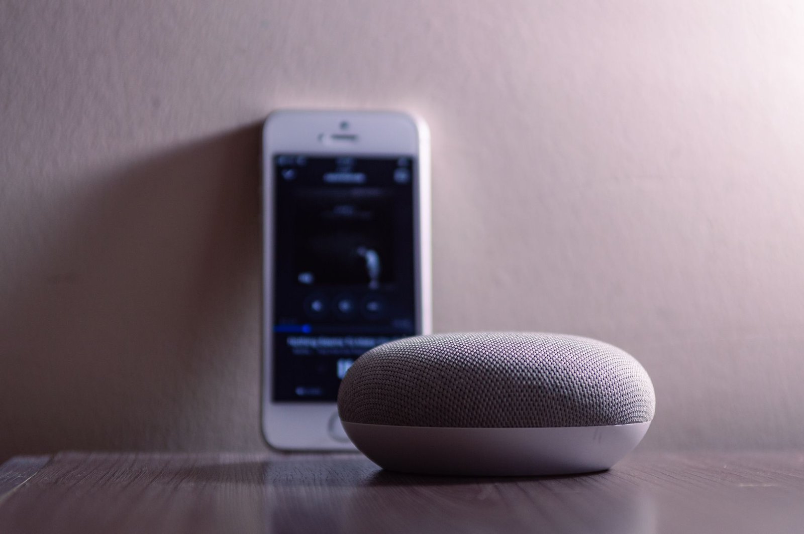 Google smart speaker