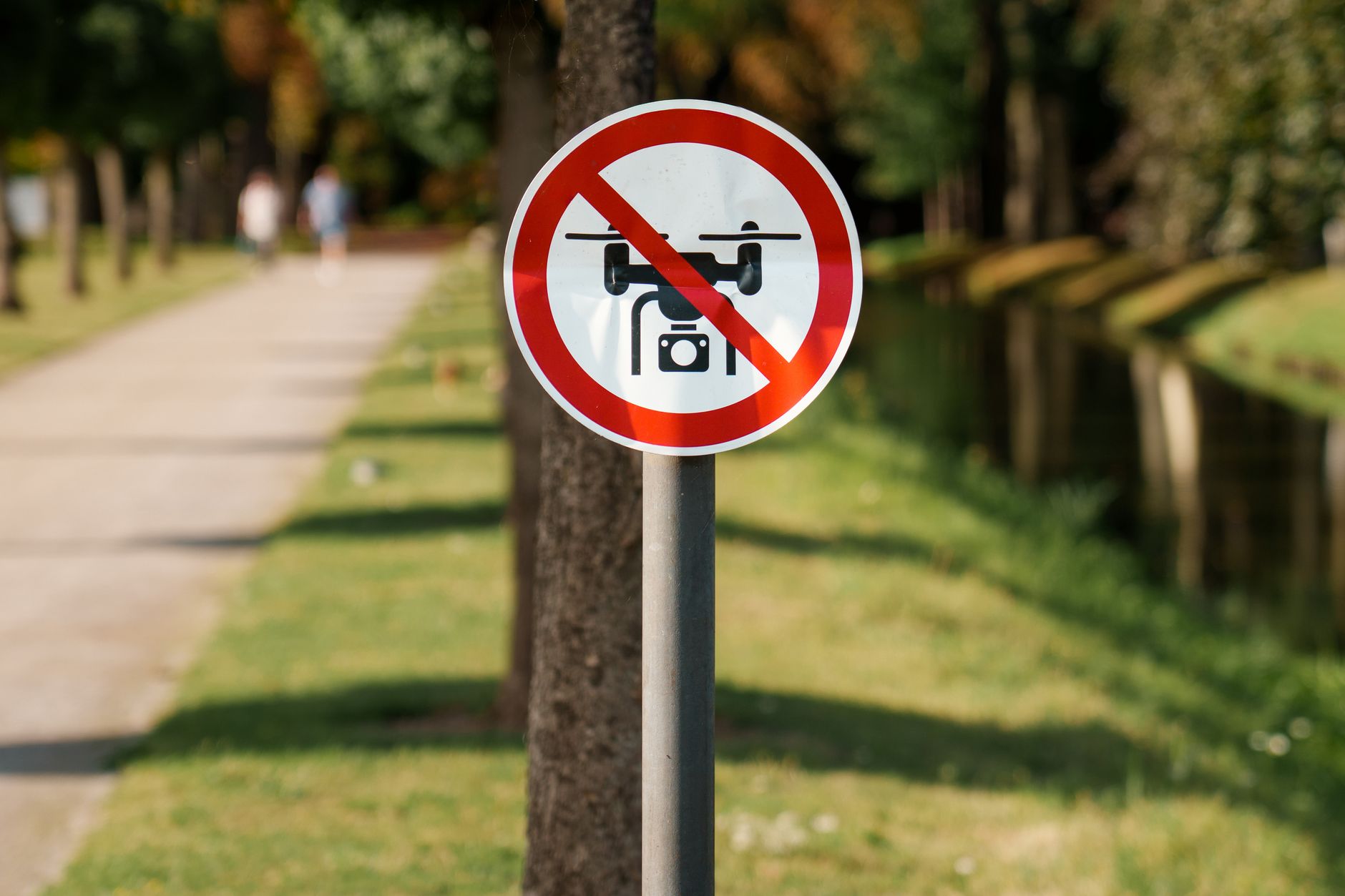 drones disarm suspects