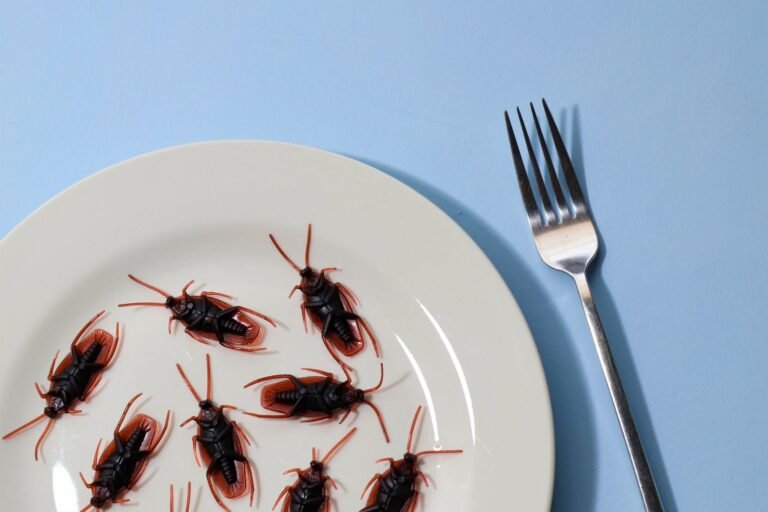 FDA Approves Second Fly Species for Maggot Therapy