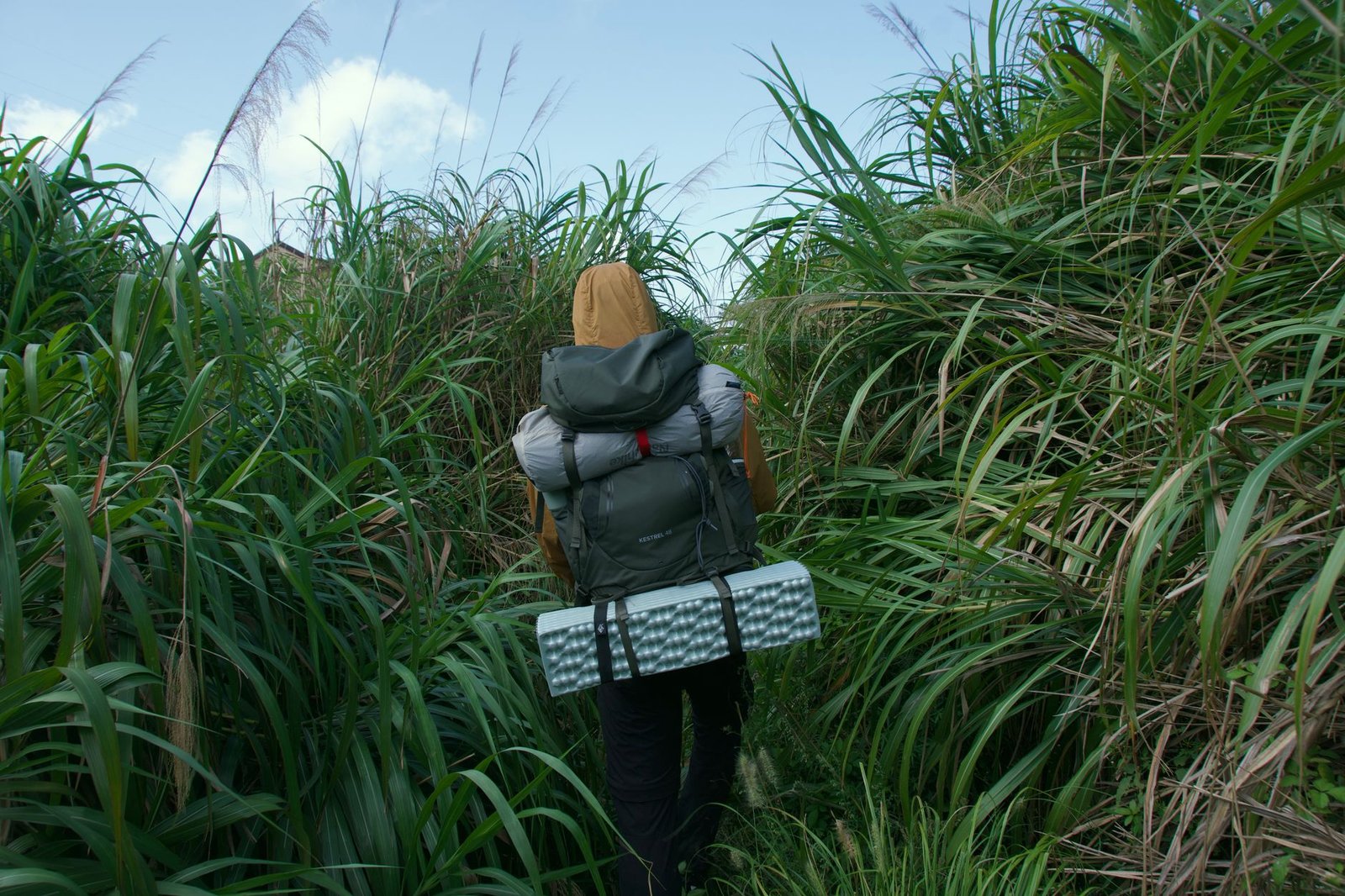 ultralight backpacking quilts