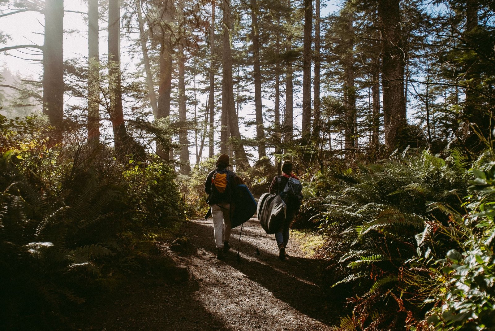 ultralight backpacking quilts