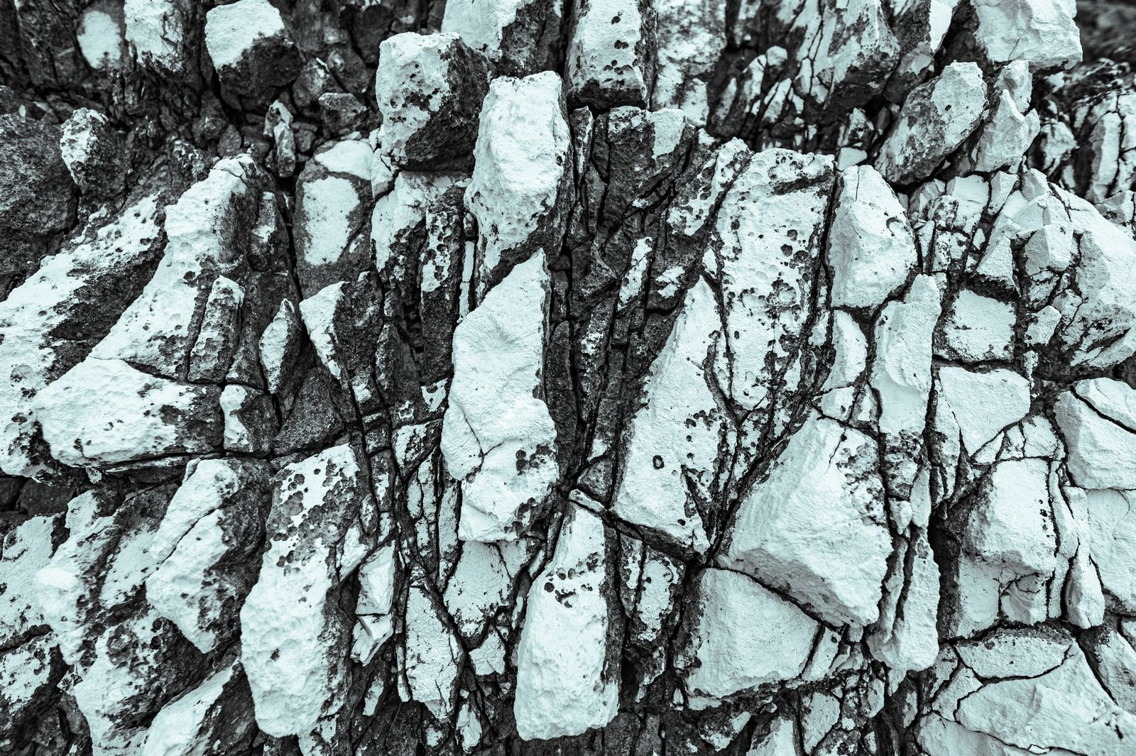 Earth's first crust