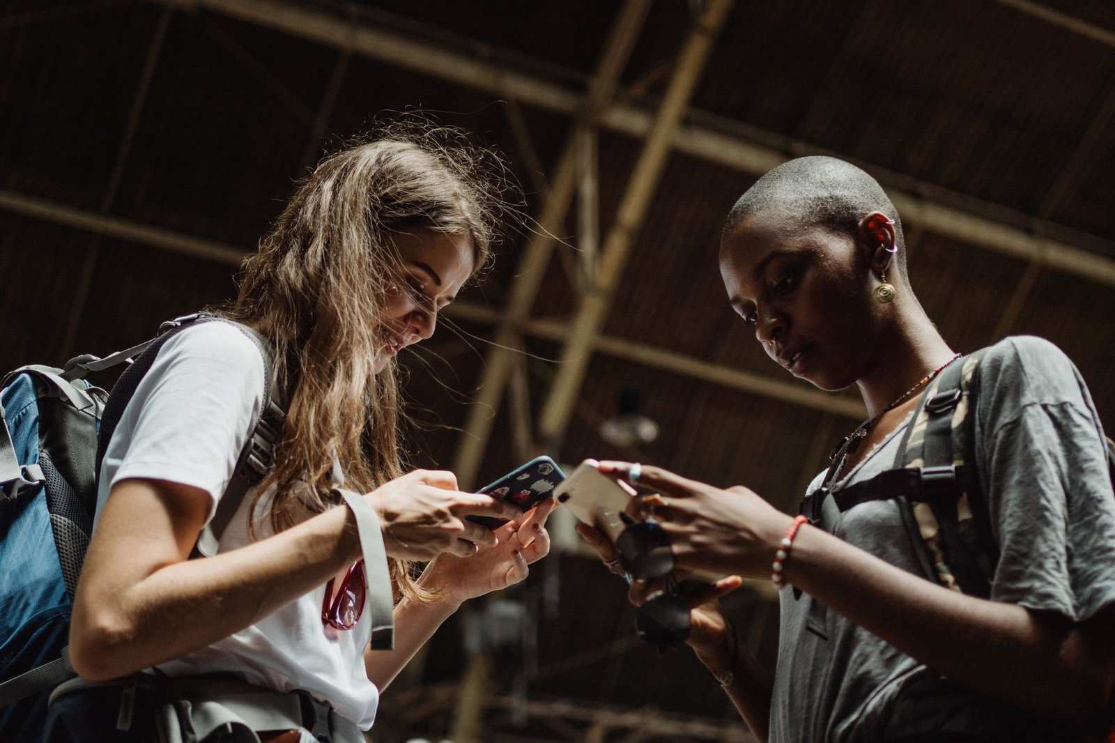 Luddite festival Gen Z