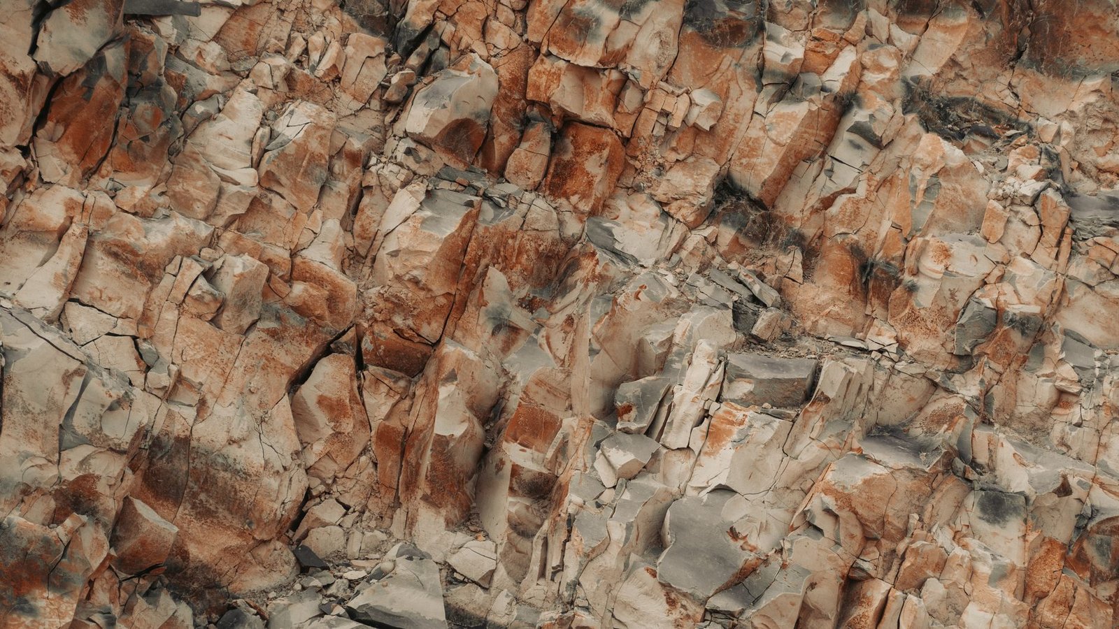 Earth's first crust