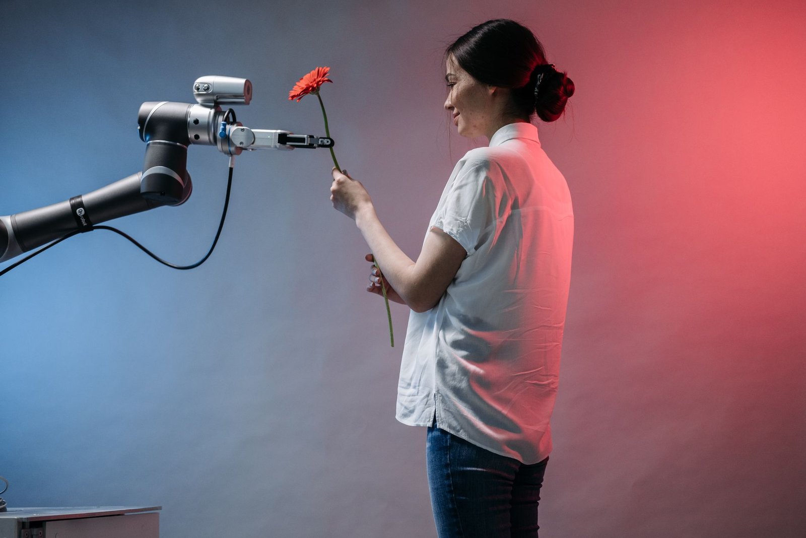 one-shot imitation learning