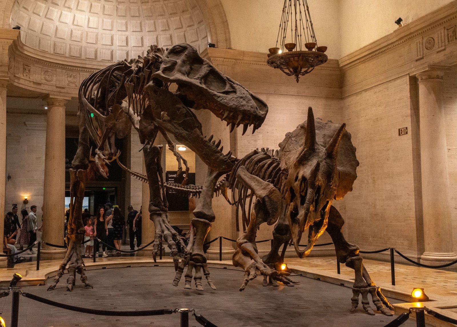 T. Rex auction