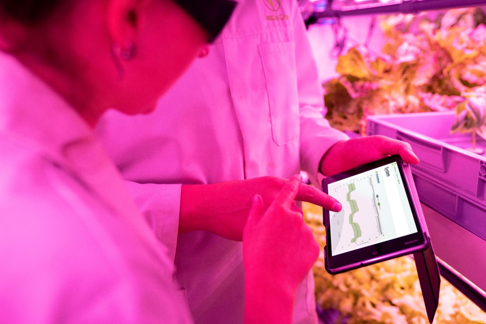 AI agriculture transformation