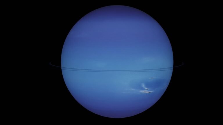 The Incredible Survival of Jupiter-Size WD 1856 b The Incredible Survival of Jupiter-Size WD 1856 b
