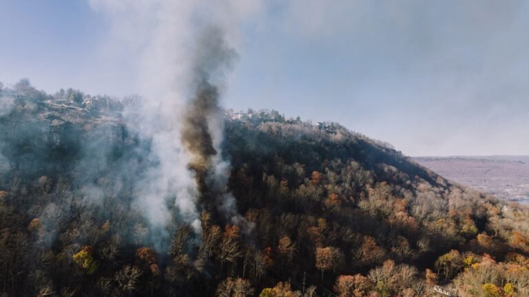 FireSat Satellites Launch to Combat Wildfire Threats FireSat Satellites Launch to Combat Wildfire Threats