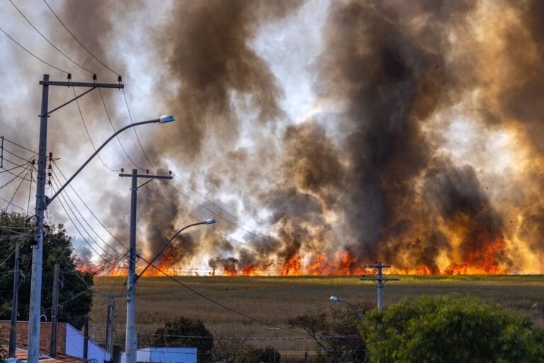 What Cities Look Like Under Wildfire Smoke: AI Solutions What Cities Look Like Under Wildfire Smoke: AI Solutions
