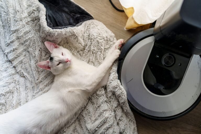 We Tested the Best Vacuums for Pet Hair—Find Out Which Win!