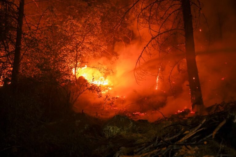 The World Is Too Hot: How El Niño Plays a Role The World Is Too Hot: How El Niño Plays a Role