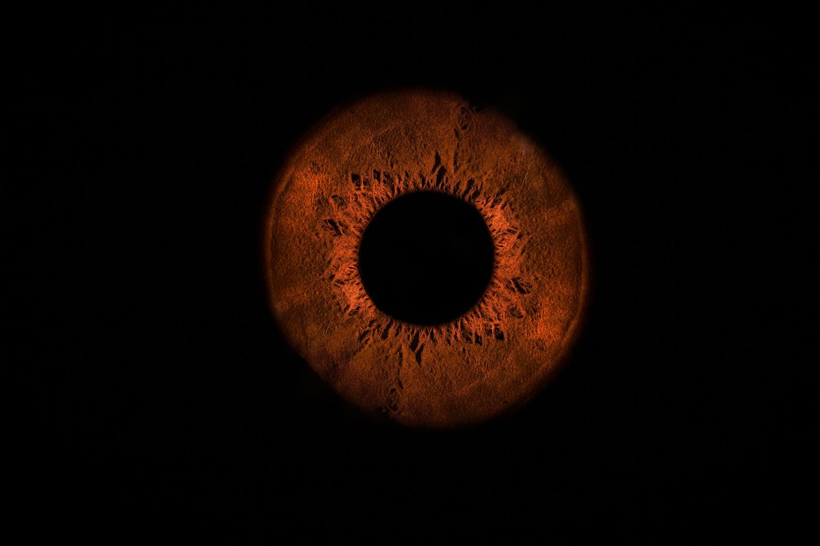 August eclipses