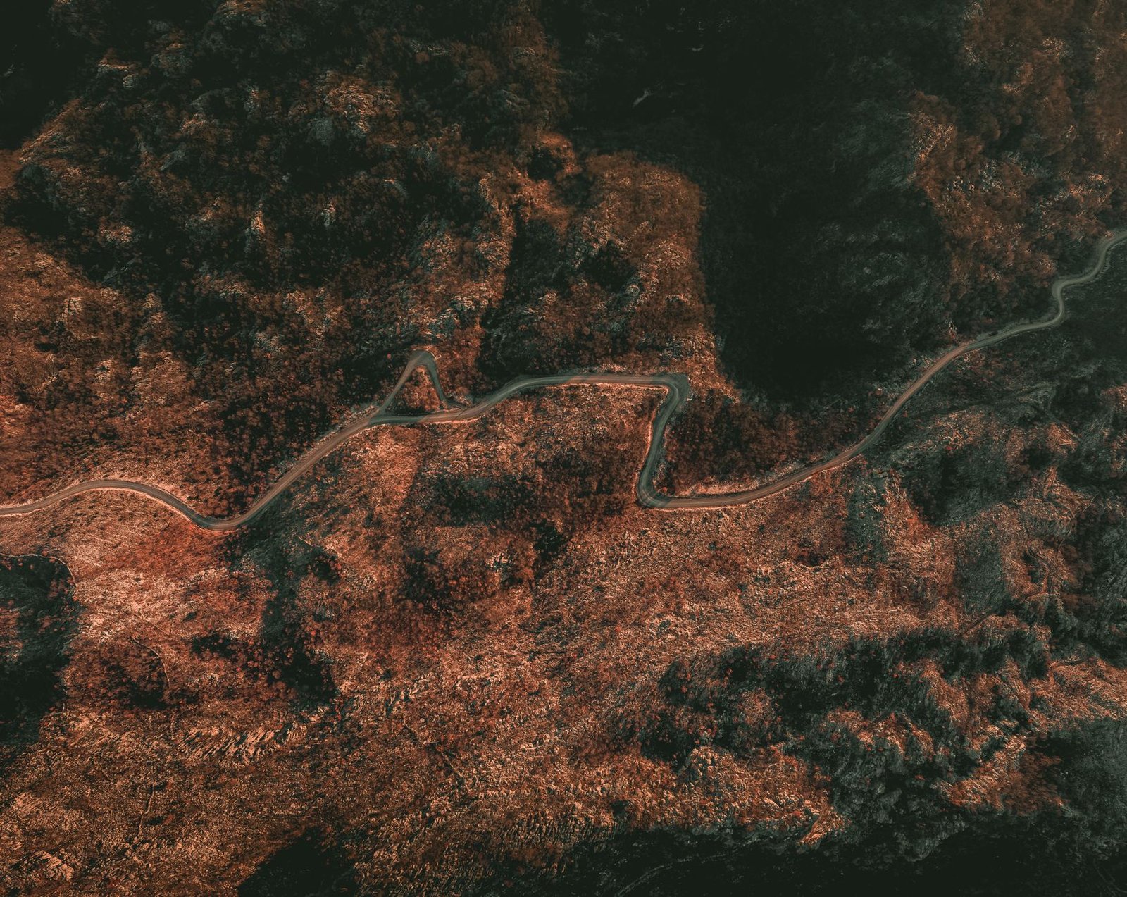 Google Earth AI tool