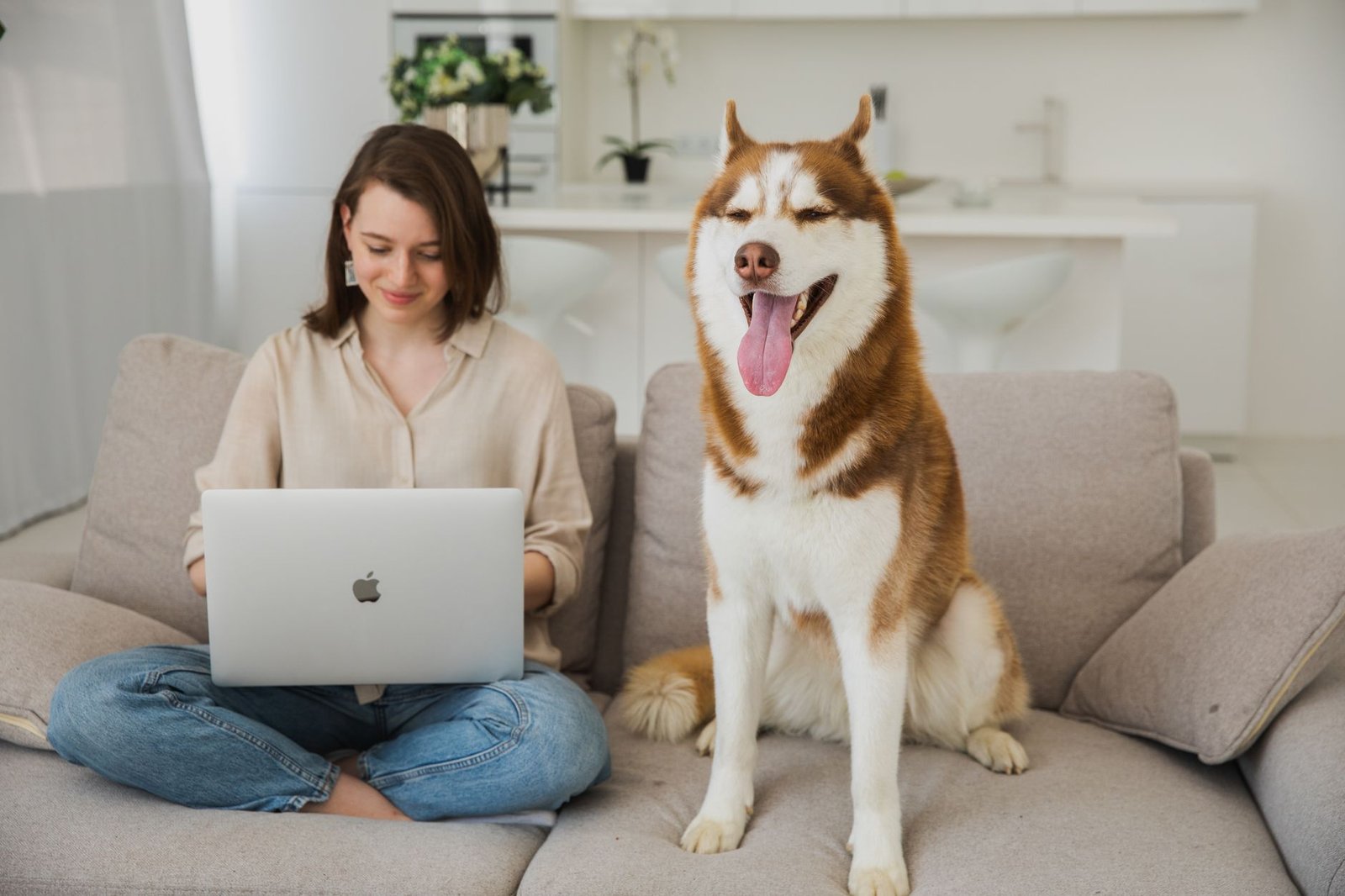 Petlibro smart pet care