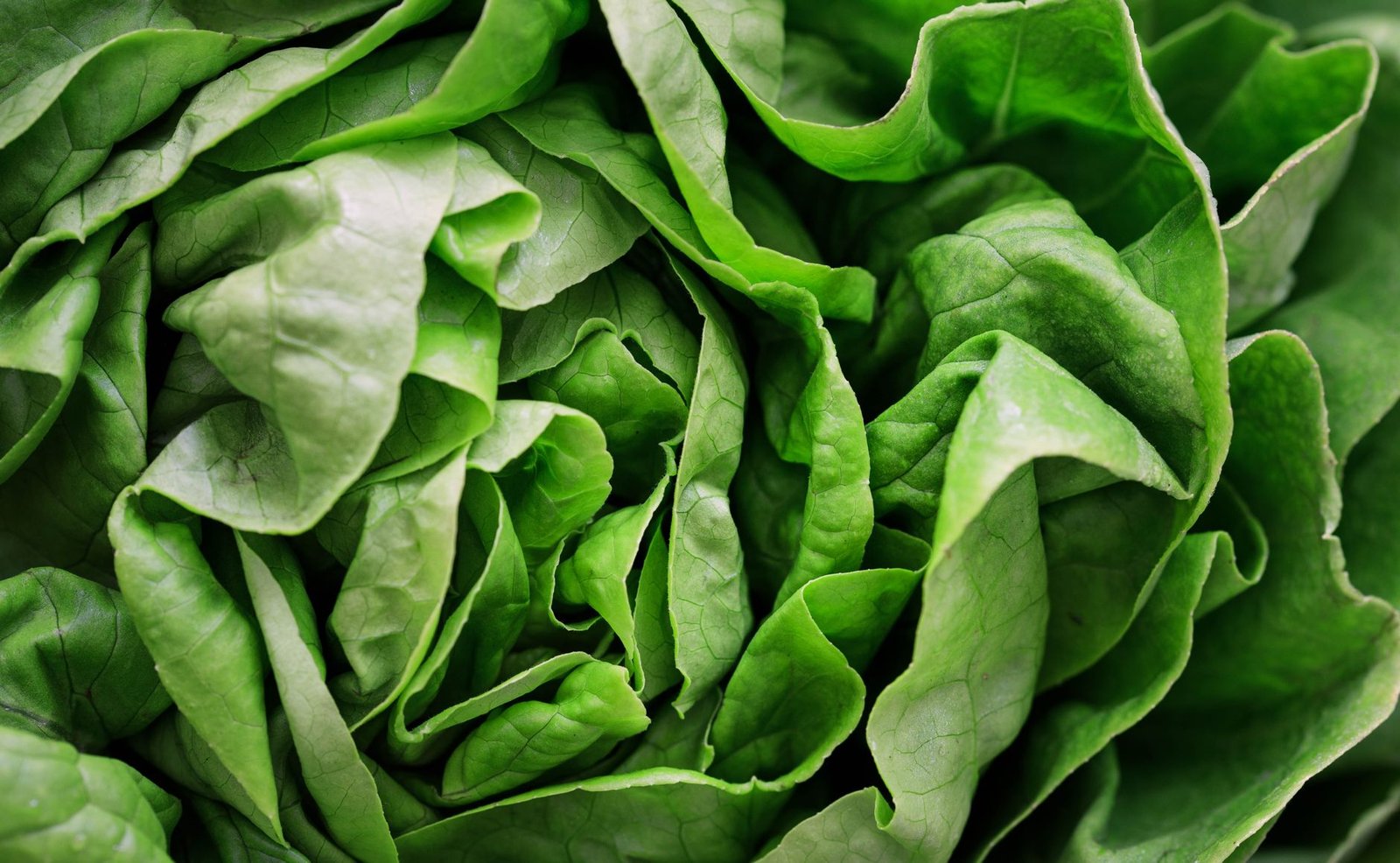 food safety technology