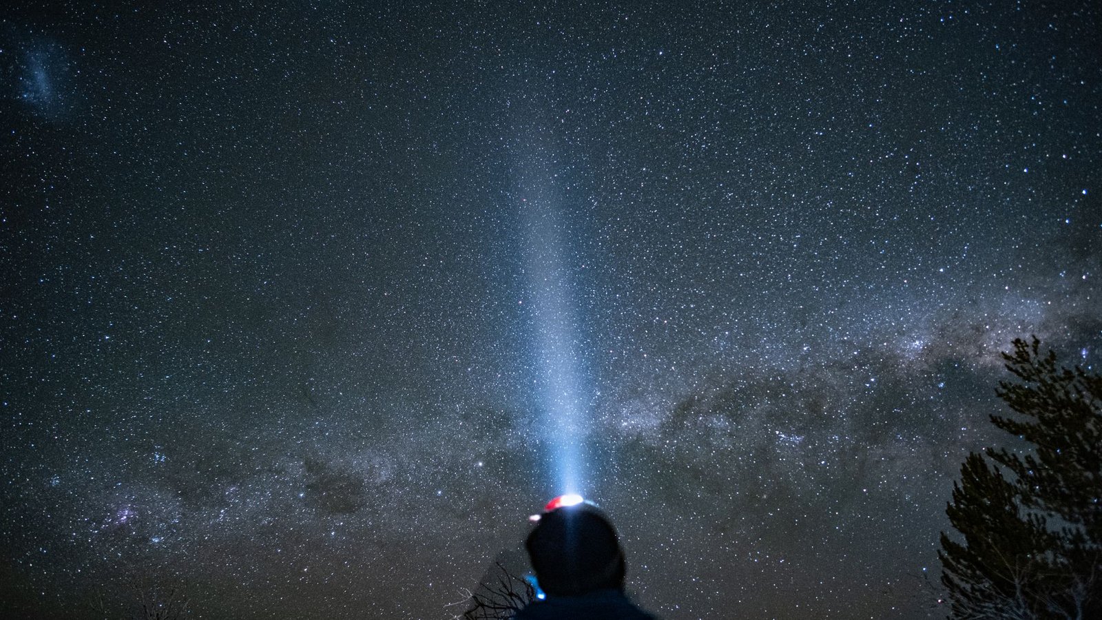 closest star black hole