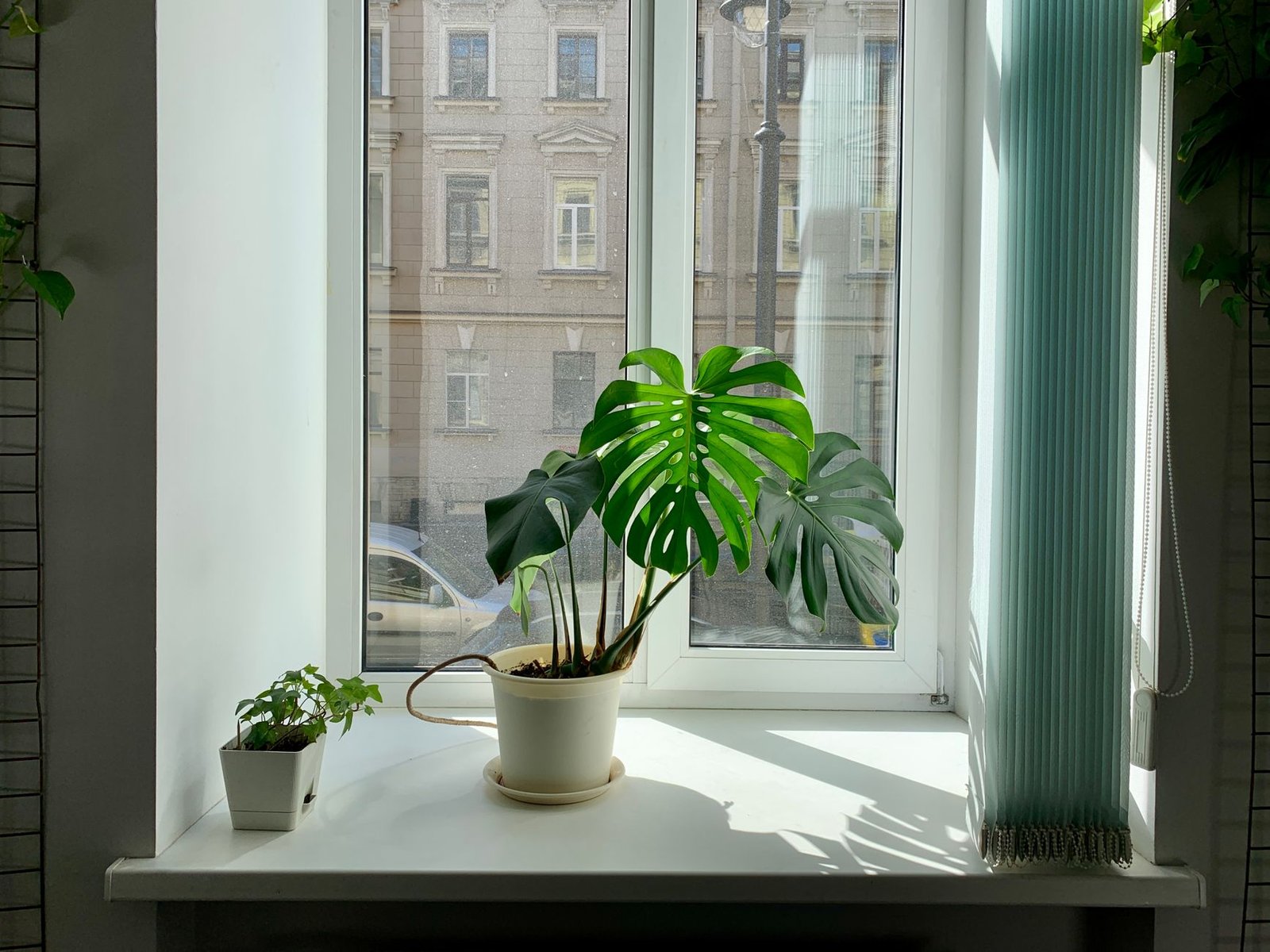 multiuse air purifier