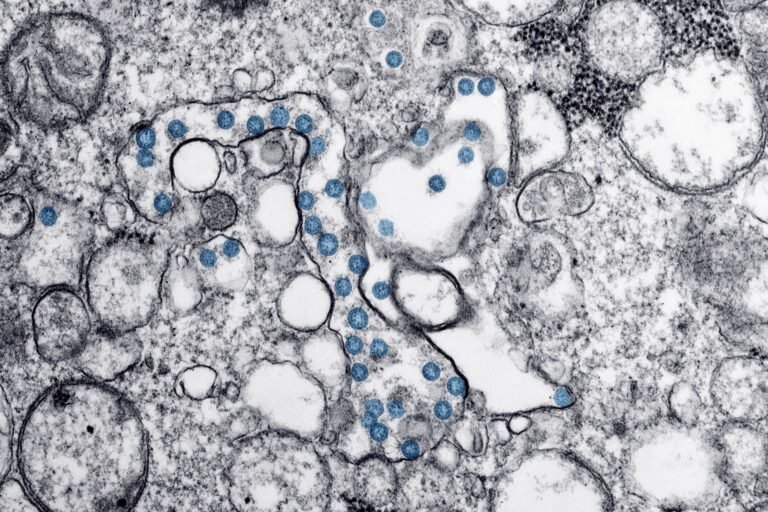Pathogenic Review: Damn, It Feels Good to Be a Virus