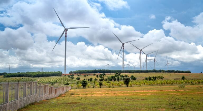 Trump’s Losing Battle Against Wind Energy Expansion