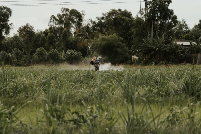 As Temperatures Rise, Pesticides Become a Greater Threat As Temperatures Rise, Pesticides Become a Greater Threat