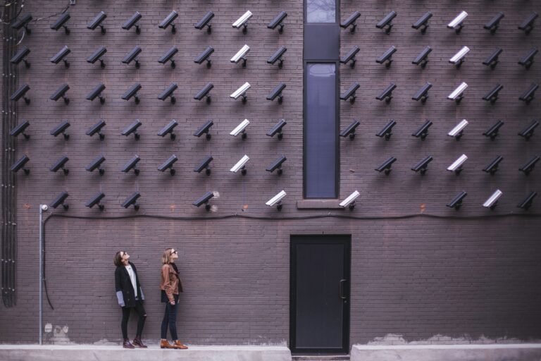 Georgia Cop Misuses Flock Safety Tech for Vendetta