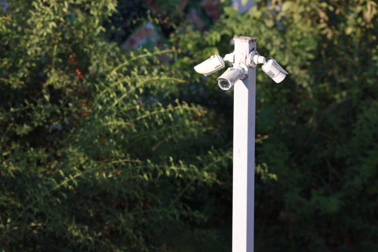 Texas Governor Abbott Halts Funding for Flock Cameras